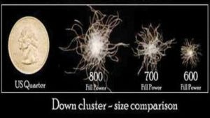 down cluster size comparison